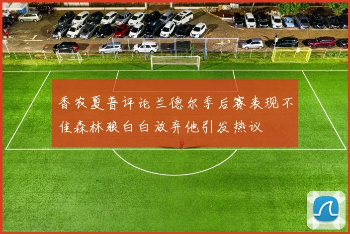 香农夏普评论兰德尔季后赛表现不佳森林狼白白放弃他引发热议